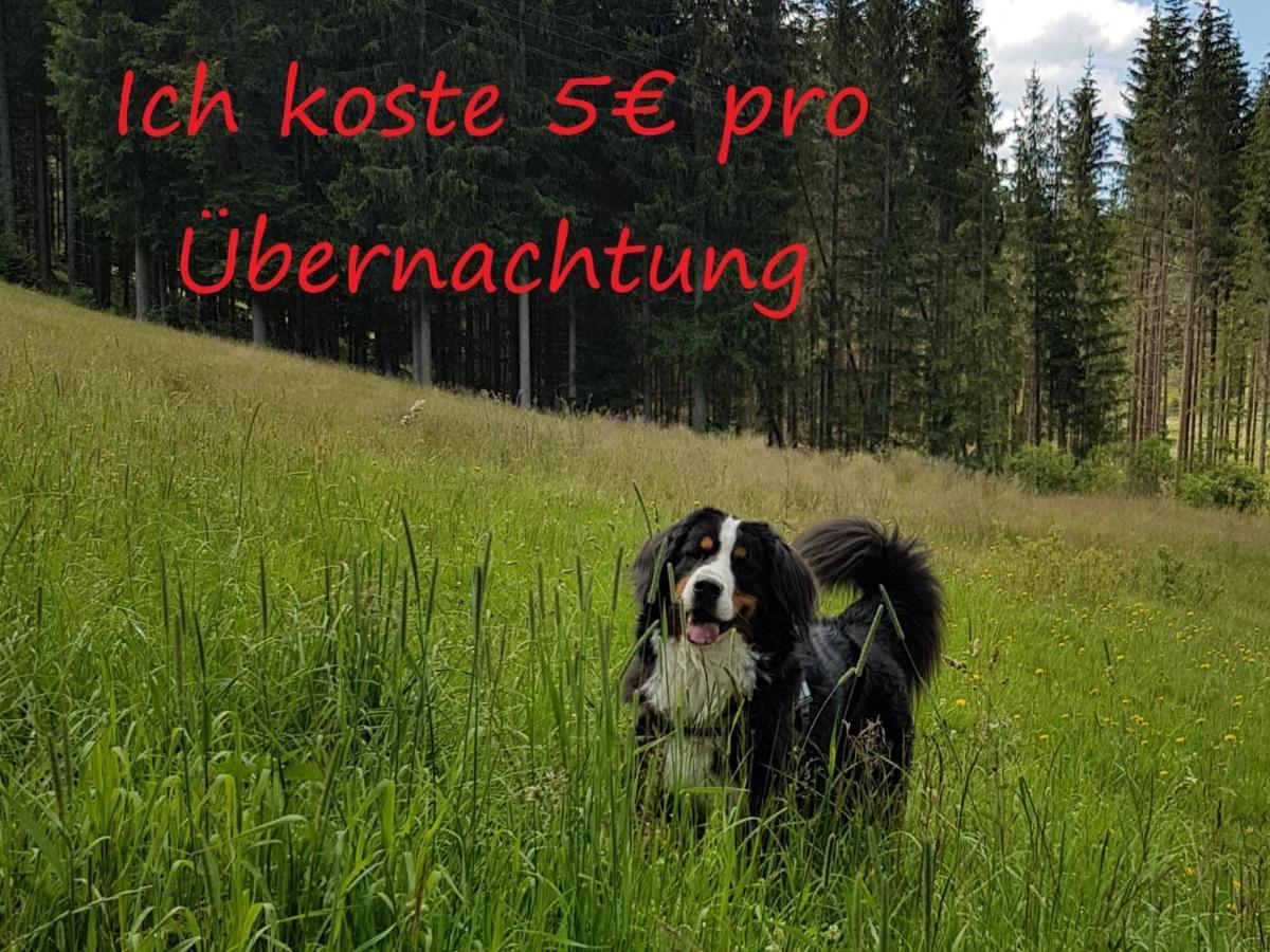 Ferienwohnung Borner Feldberg  Dış mekan fotoğraf